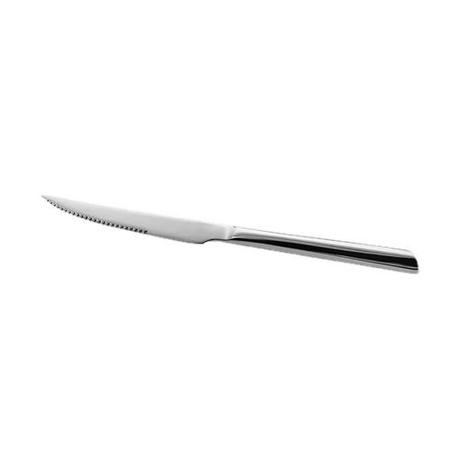 [1176-4] 1176-4 SS 304 Steak Knife (copy)